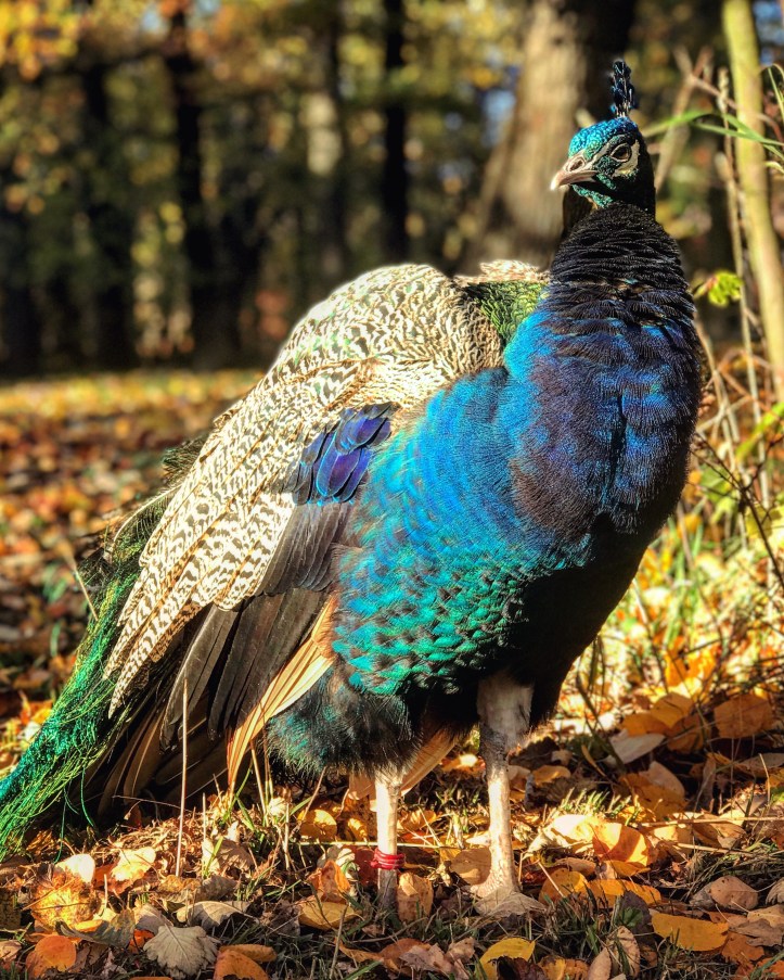 d6145252-8688-4598-815e-7a0d0dea49dc